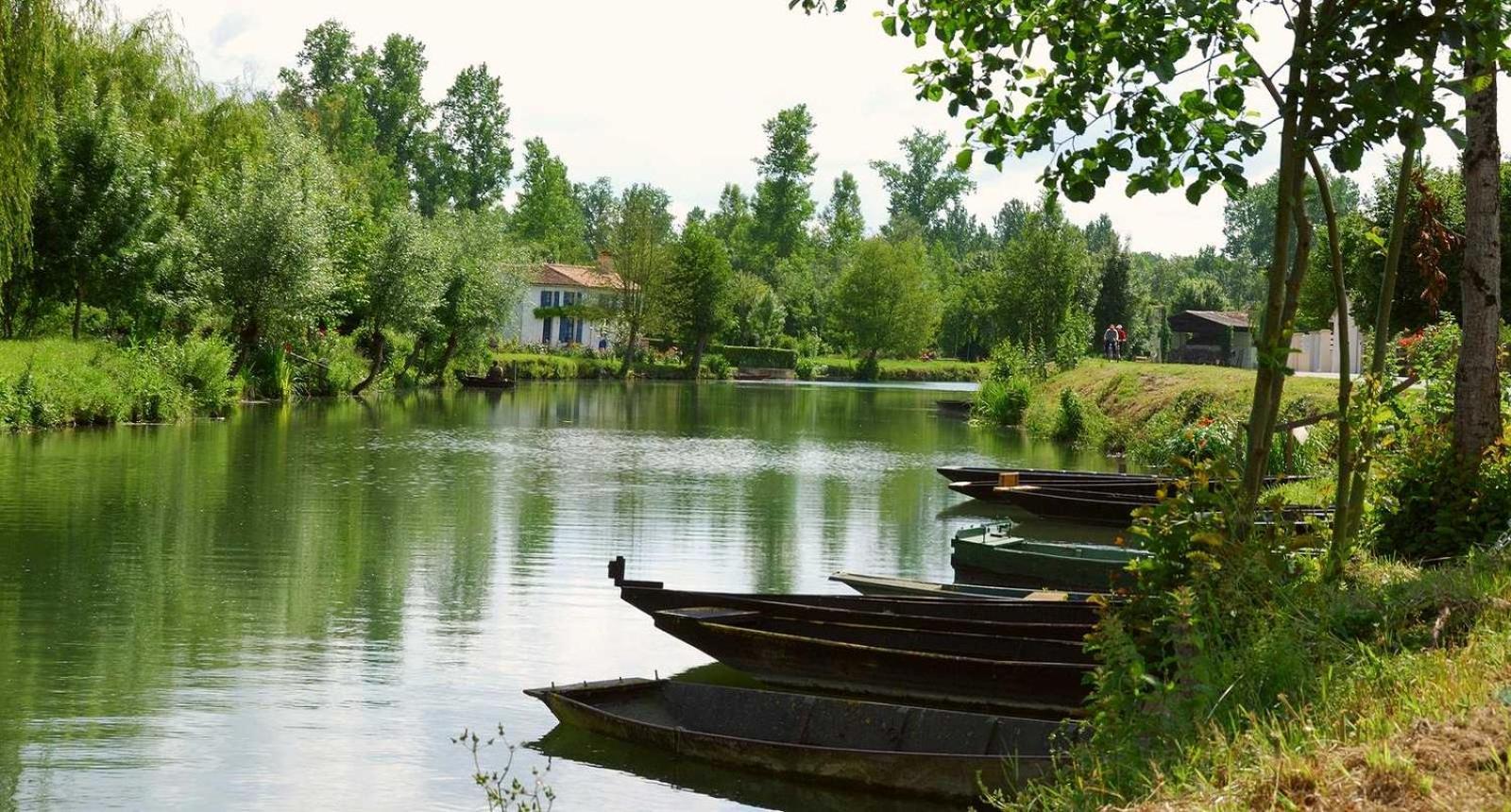 Bed and Breakfast Le Pre De Bonhomme Le Mazeau Экстерьер фото